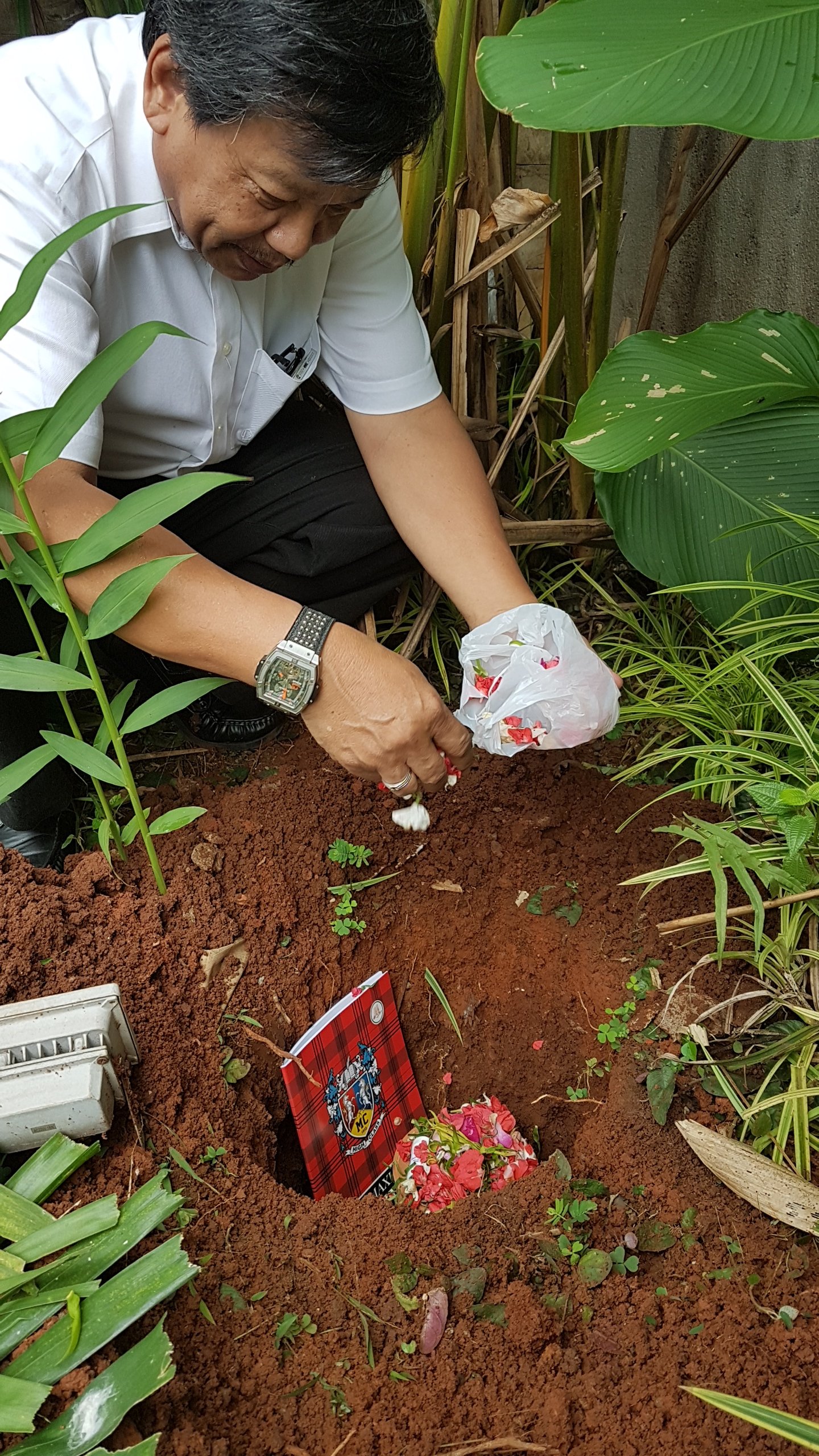 “MENGUBUR ARI-ARI”